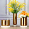 OEM che dipinge il cilindro placcato oro decorativo del vaso di fiore con marmo